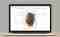 site Web emmanuellegallice.com, vue ordinateur, zoom sur une œuvre de la série n°1 de la galerie 